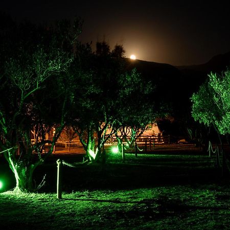 Falasarna Caravans Экстерьер фото